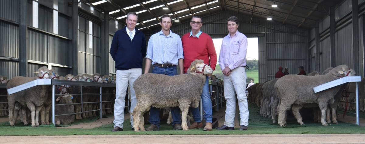 The $18,500 top-priced ram purchased by Wyntrade, Jugiong. 