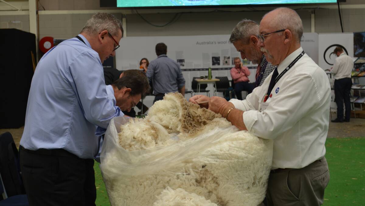 With a total of 26 rams and 13 ewes in the competition, it was noted that entries were up this year. 