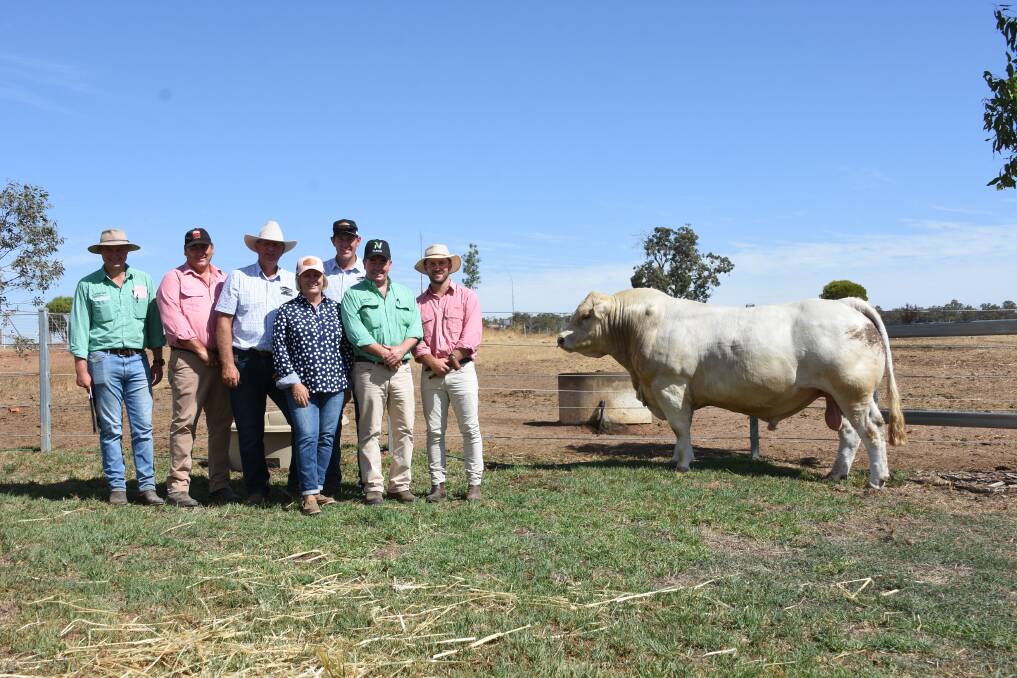 The $36,000 top bull with Laurence Grant, Nutrien, Tim Spicer, Elders, Venturon Livestock principals Andrew, Anne and Harris Thompson, Jamie Abbs, Nutrien and Elders auctioneer James Culleton.