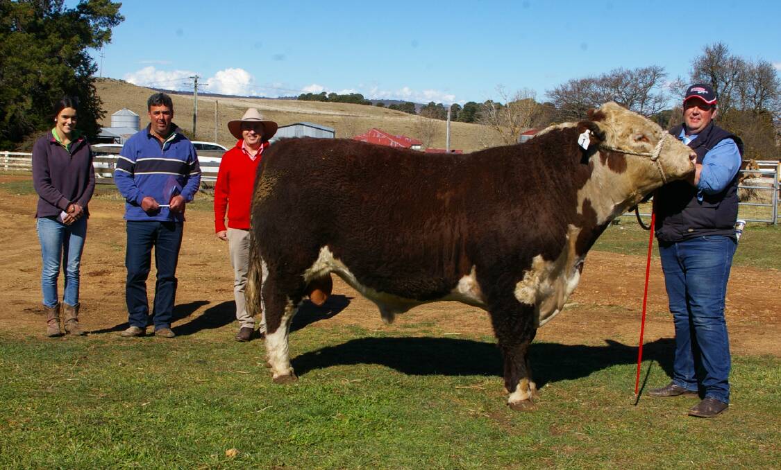 Purchasers Claire and Ged McIntosh, Yackandandah, Victoria, and Elders agent Tim Schofield, with vendor Robert Hain, Gunyah Herefords. Photo by The Monaro Post
