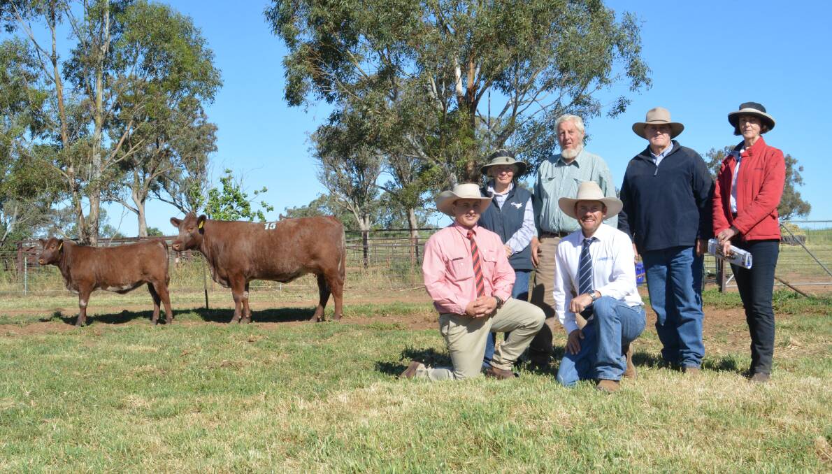 The $32,500 top Moombi female with Sonya and Lester Job, buyers Gary Neve and Christine Hornitzky, and (kneeling) Lincoln McKinlay and Luke Whitty.