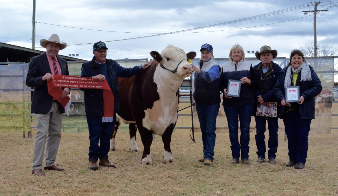 The $27,000 top-priced bull, The Ranch Qualifier Q033, with Paul Jameson, Elders Stud Stock, Dubbo, vendors Greg, Emma and Del Rees, The Ranch Poll Herefords, Tomingley and buyers Steve and Therese Crowley, Tycolah Poll Herefords, Cobbadah. 