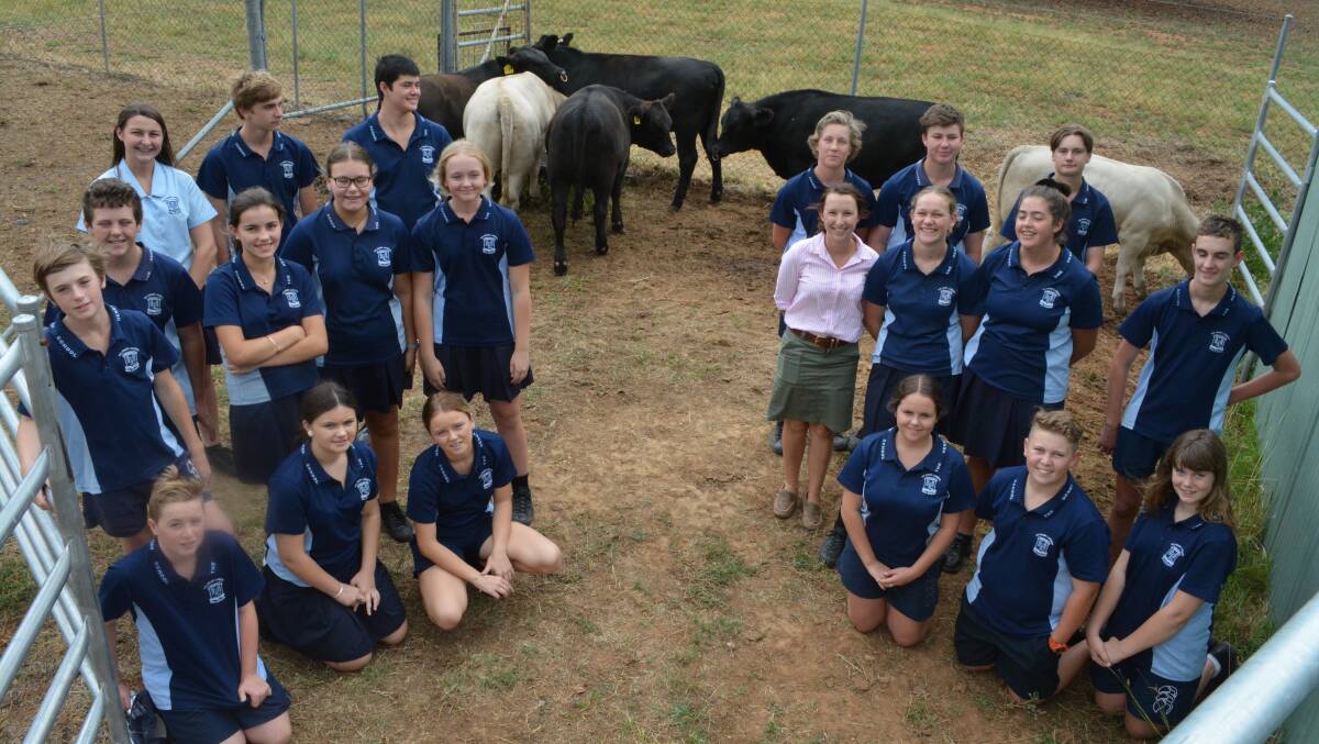 The Henry Lawson High School is destined for a royal venture into the big smoke for the Angus Feature Show and steer sections at this year's Sydney Royal Easter Show. 