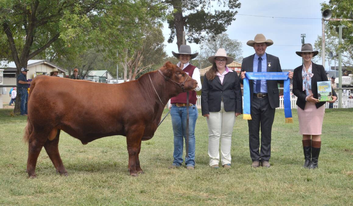 The supreme Red Angus exhibit owned and handled by Christie Fuller, Black Diamond Angus, Cowra, with associate judge Michelle Fairall, Micanker Livestock, Harden, and judge Tim Reid, JTR Cattle, Roslyn, and International Animal Health's Eliza Babazogli. Photo: Hannah Powe 