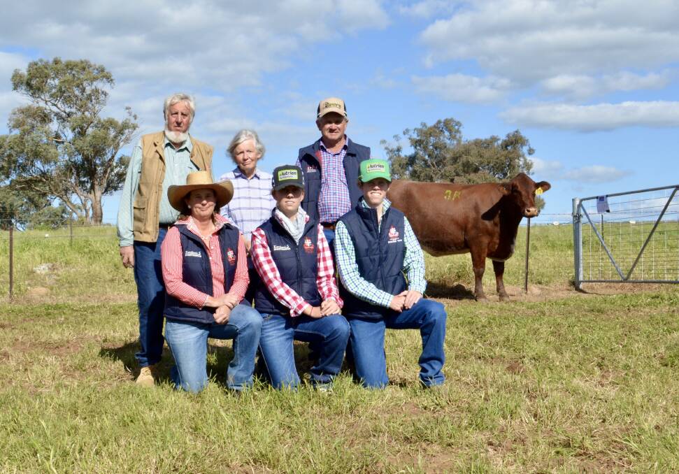 The $30,000 second-top priced female with (standing) Lester and Sonya Job, Moombi Shorthorns, and buyers Gerald Spry, Spry's Shorthorns, Wagga Wagga and (kneeling) Calrossy Anglican School teacher Kathy De Jong and students Emily and Mitch Taylor, representing the school's Kamilaroi stud, Tamworth. 