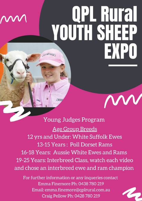 QPL Rural Youth Sheep Expo provides for young sheep minds