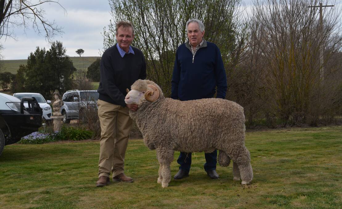 Guy Evans, Tara Park Merinos, Boorowa, hold the $17,000 sale-topper purchased by repeat buyer Greg Simpson from Winjallok, Victoria. 