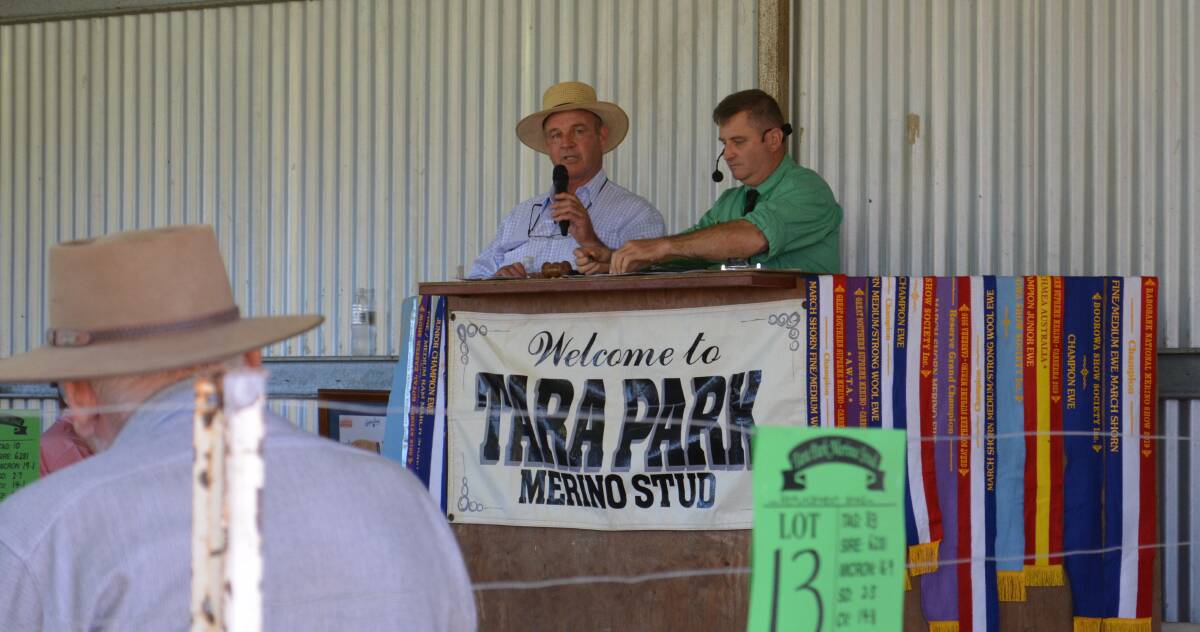 Tara Park Merino studmaster Guy Evans welcomed everyone to the sale and congratulated his clients on recent successes in the 2020 Boorowa Flock Ewe Competition. 