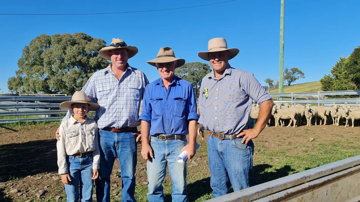 The encouragement award went to Andrew Larnach of Oaklands, Rockley, with his Winyar blood ewes. Photo: Emma Grabham