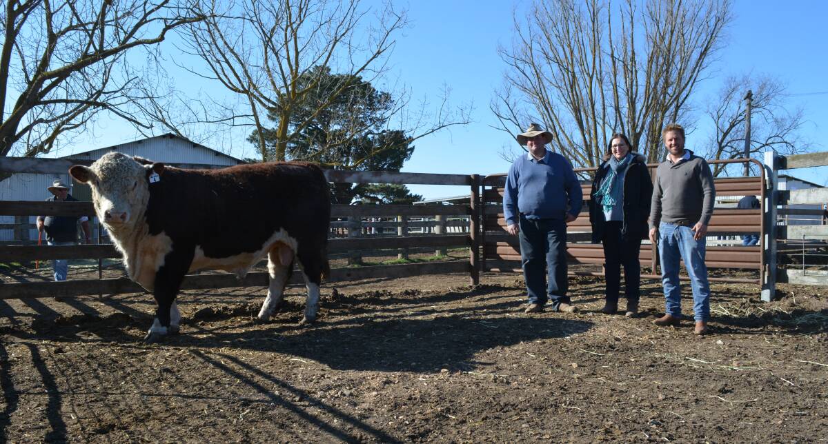 Ben and Leanne Rumbel of Supple Hereford stud, Guyra, with their $20,000 equal sale-topping bull, Yalgoo Video M195 (AI) (P), and Jock Nivison, Yalgoo Genetics, Walcha. 
