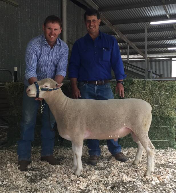 Second top priced ram at $1900, held by Abelene Park co-owner Marshall Douglas, and buyer Andrew Locke, Walcha