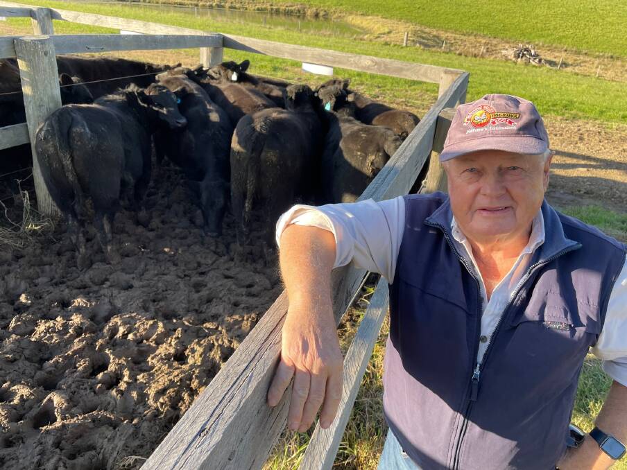 Alex Matuszny, Hannam Vale, purchased 46 commercial heifers from Knowla, which sold above the previous Angus record top price for unjoined commercial heifers.