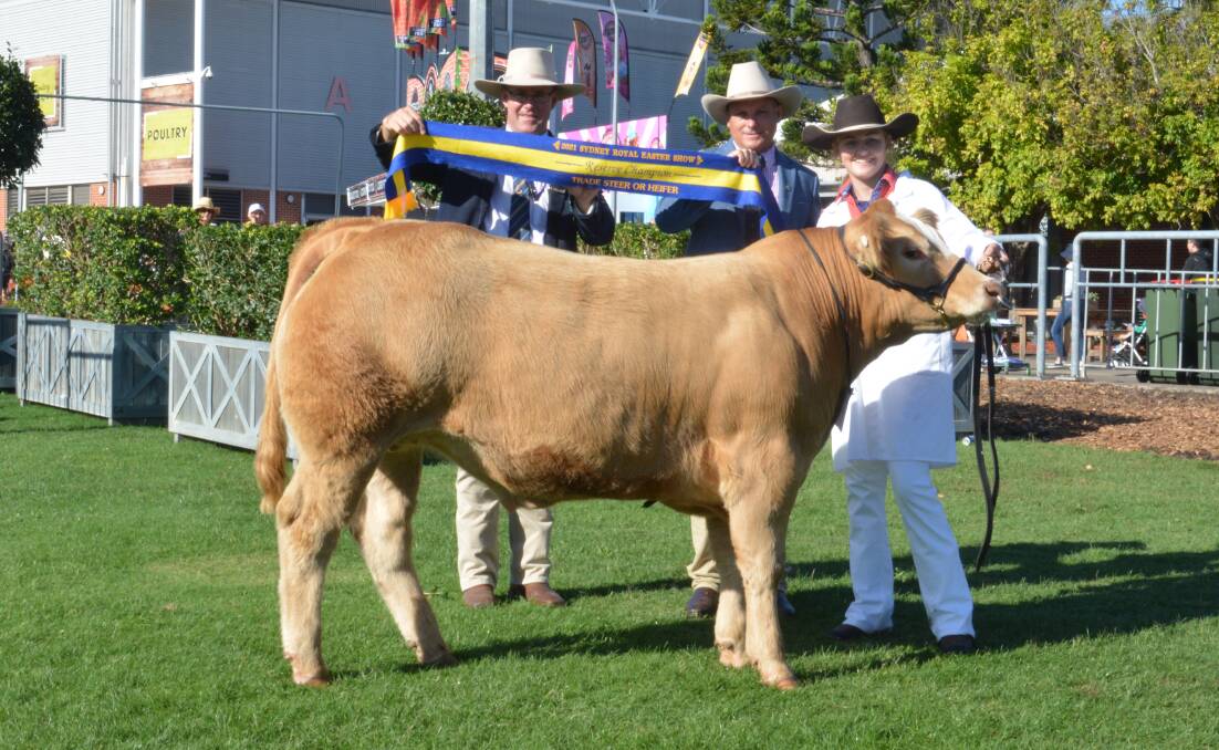 The reserve champion trade steer from Kempsey High School held by Freya Weismantel, Kempsey, was presented its ribbon by RAS cattle councillor Alastair Rayner and judge Craig Price, Kilcoy Global Foods, Kilcoy, Qld. Photo: Hannah Powe