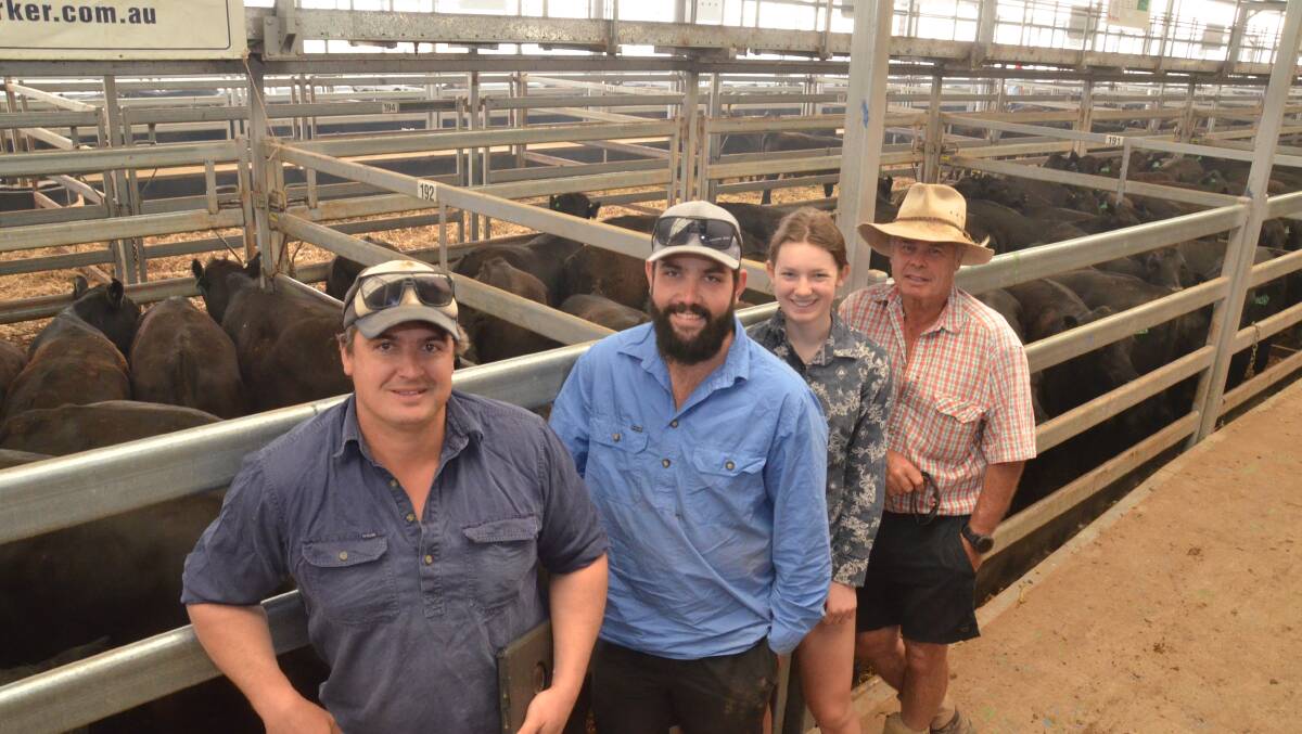 Rodda Manning, Harry Lovick, Matilda Reeve and Rod Manning of Davilak Pastoral, Mansfield, Vic, presented 600 steers aged 10 to 11 months of Glendaloch blood at the annual Blue Ribbon Angus Weaner Sale. Rodda Manning estimated the whole draft averaged 320 kilograms and the top 300 head 350kg. Photo: Mark Griggs