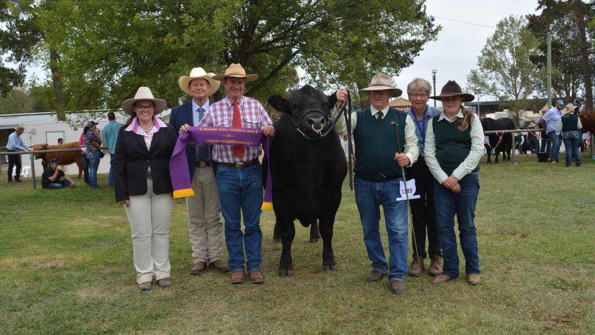 Grand champion Limousin bull Myers Northern Star with associate judge Michelle Fairall, Harden, judge Glenn Trout, Holbrook, RNCAS cattle committee member Tony Starr, Young, owners Michael and Mary Parsons, Kia Ora Limousins, Roslyn, and Sienna Manning, Goulburn. 