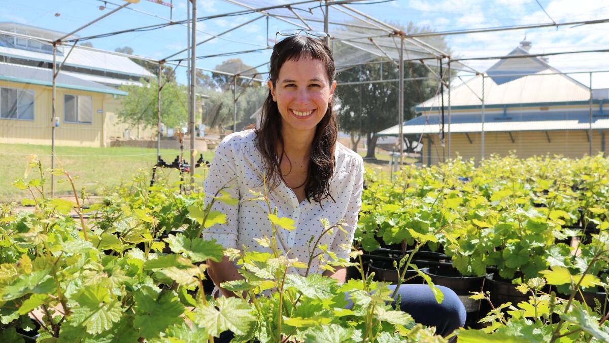 CSU postdoctoral researcher Dr Joanna Gambetta from the National Wine and Grape Industry Centre (NWGIC). Photo supplied. 