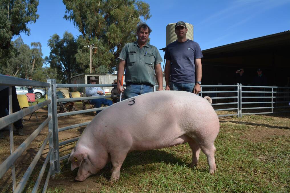 Wayne Reid in appreciation trophy winner for the best pig exhibit, and $1250 top-priced mated gilt Gumshire Princess G921, with vendor Michael Blenkiron, Gumshire stud, South Australia, and purchaser Kyeran Steenbergen of Young. 