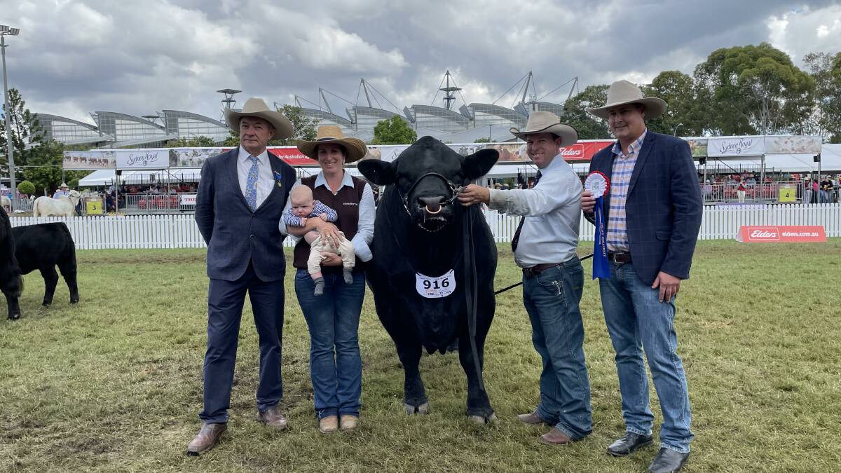 Elite Cattle Co take home both grand female and bull of the Simmental feature show