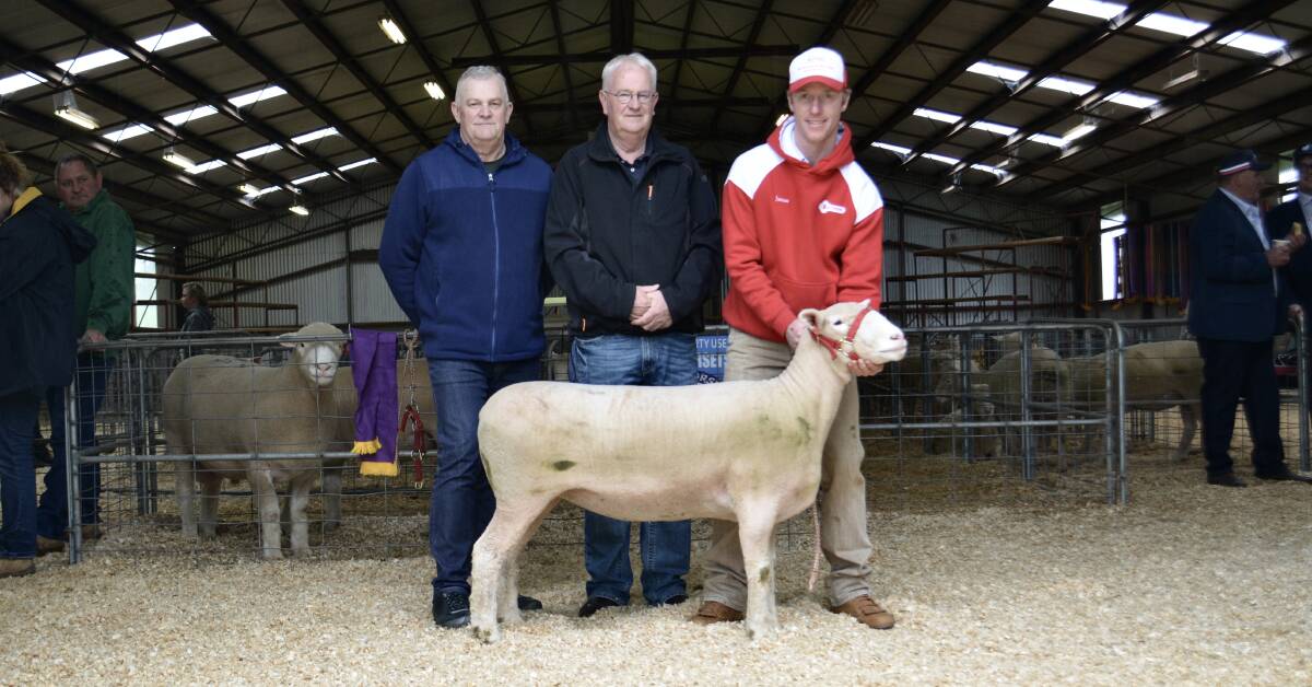 The $6200 top-priced ewe with Baden and Philip Morton, Garden Park Poll Dorsets, Portland, Vic and James Gilmore of Tattykeel, Black Springs. 