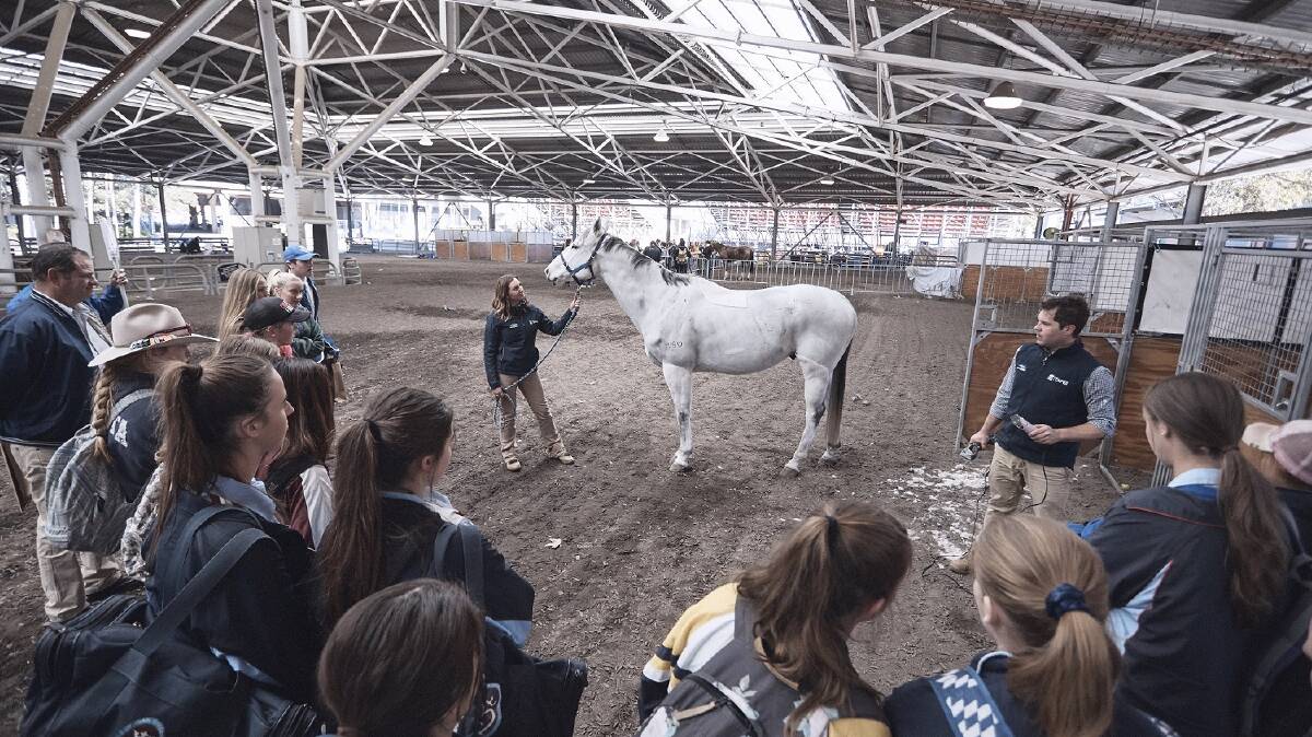 Students from Coolah Central School will travel to the Sydney Royal Easter Show from April 15 to 18 for a behind the scenes, all expenses paid trip of a lifetime. 