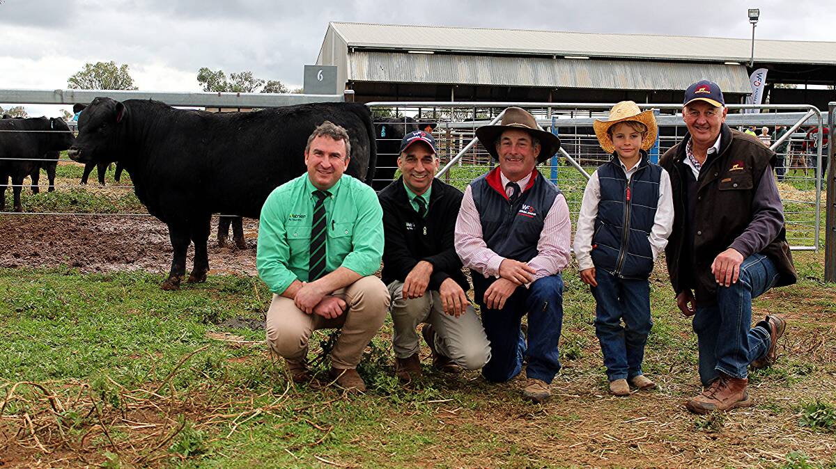 Nutrien stud stock agent Tim Woodham, Wagga Wagga, and Nutrien Wilson Russ' Ashley McGilchrist, Waitara Angus' Stephen and Toby Chase, and Merridale Angus' Peter Collins with the top-priced bull sold in August Waitara GK Safekeeping S56. Photo: Denis Howard 