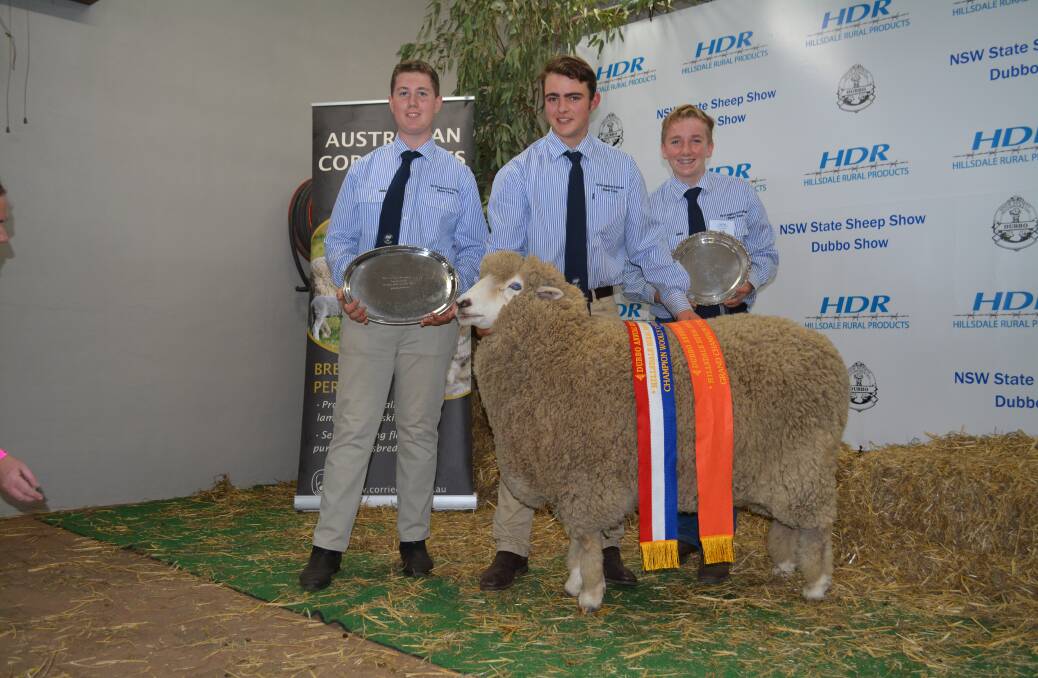 Champion woolly Corriedale ewe, and overall grand champion Corriedale ewe, Badgally 1518 exhibited by St Gregory's College, Campbelltown. 