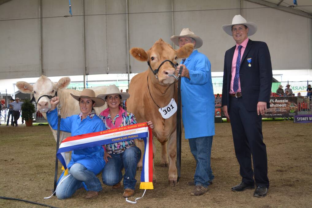 Moongool's grand champion female with Kim Groner, Elite Cattle Co, Kristie O'Brien, Winchester Charolais, owner Ivan Price, Qld, and judge Tom Baker, Millicent, SA.