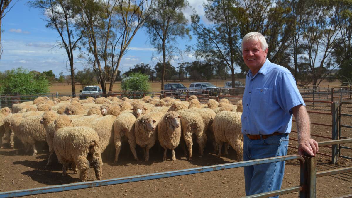 Keith Rees of Sydenham, Kildary near Beckom, with his ewes of Pooginook blood that have been classed by Bruce Baker. Photo: Hannah Powe