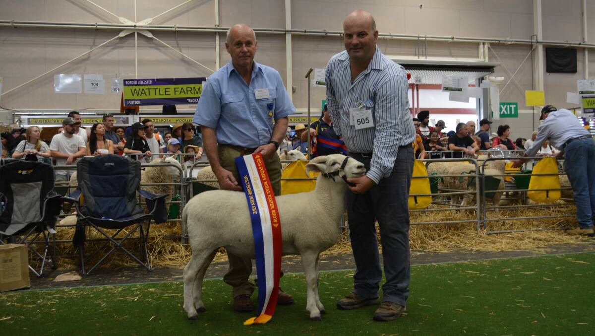 Grand champion ewe with judge Peter Shepherd of Wheeo, Crookwell, and exhibitor Jason O'Loghlin, O'Loghlin Wiltshire Horn stud, Deniliquin. 
