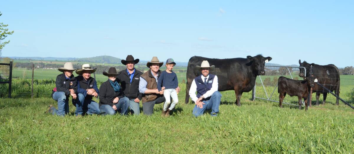 Mitchell and Jeff Duddy, India Hutchinson and Robert Duddy of Sara Park and Duddy Angus, Glen Innes, with Kenny's Creek Sam Burton Taylor and Billie, 7, and auctioneer Luke Whitty, KMWL.
