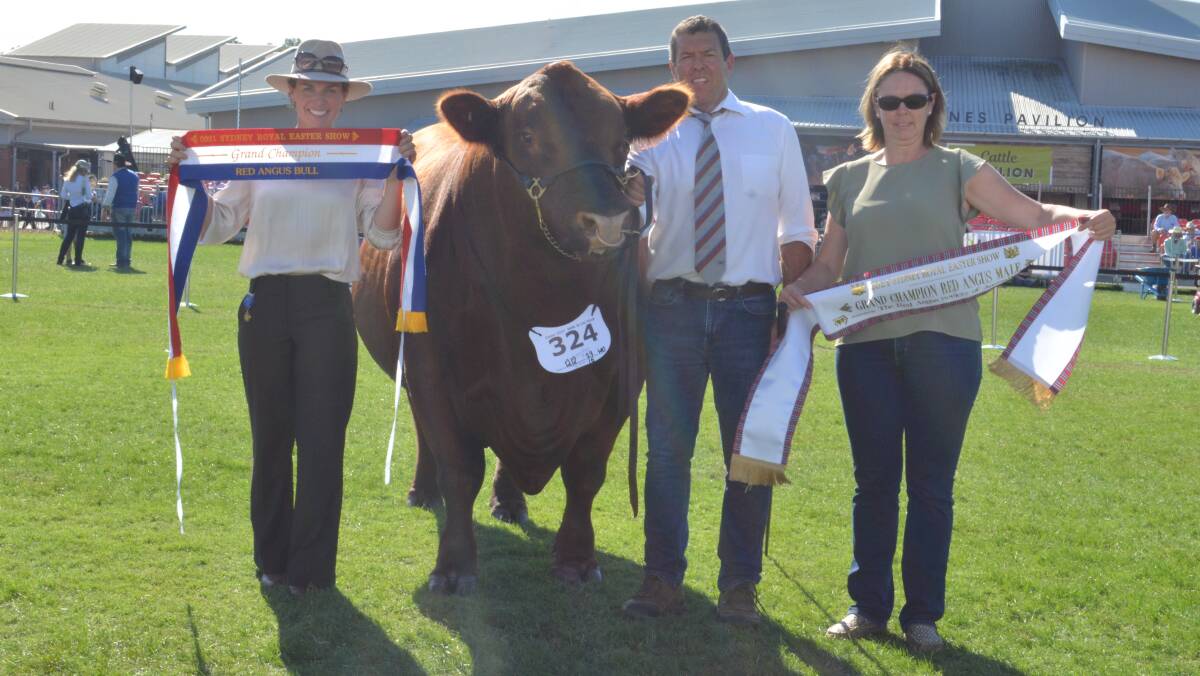 Judge Erica Halliday, Ben Nevis Angus, Walcha, with the senior and grand champion Red Angus bull and exhibitors David and Ashleigh Hobbs, Round-Em-Up Red Angus, Molong. 