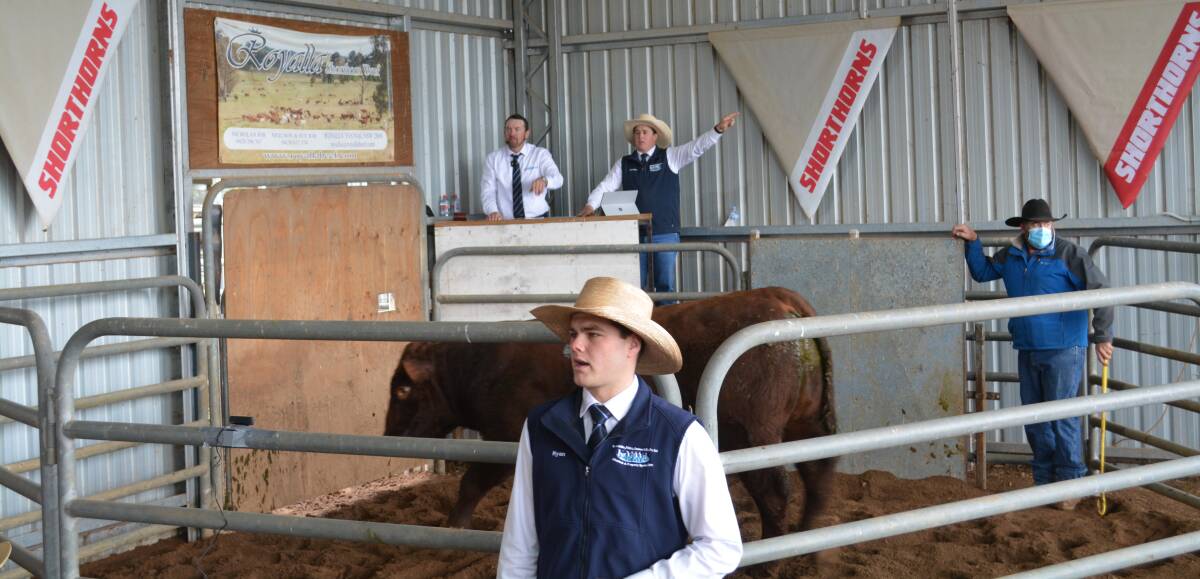 The sale was conducted by Elders with Kevin Miller Whitty Lennon and Co (KMWL) and Luke Whitty (KMWL) was the auctioneer.