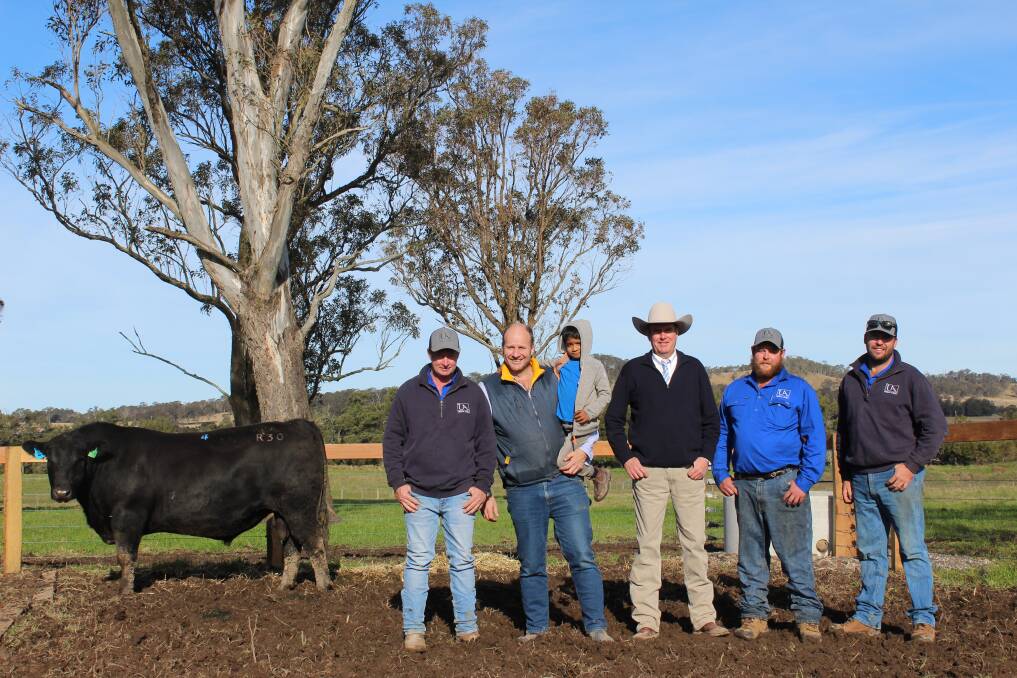 The $24,000 high-seller with Urban stud principal Matthew Urban, Wallarobba, buyers Tim and Thomas Phelan, Kimbarra Farms, Clarence Town, auctioneer Paul Dooley, Tamworth, Andrew Gehrig and Ryley Mitchell. Photo: Supplied 