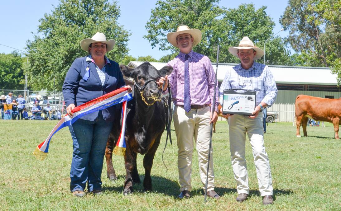 CHAMPION: Judge Renae Keith, Allenae Angus and Poll Herefords, Roslyn, with her champion selection Hamish Maclure, Keajura Park Show Team, Tarcutta, and Canberra cattle committee member Stuart Glover. 