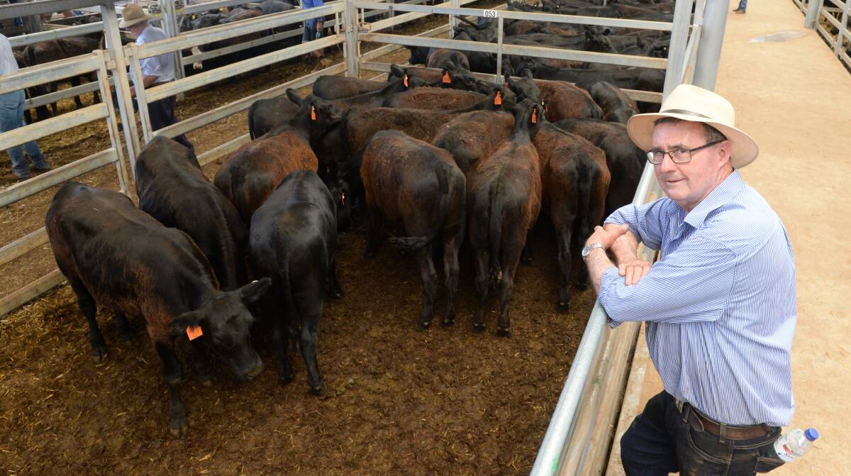 Gerard Ryan, Mullengandra, sold 180 Angus weaners of Ardrossan bloodlines last Friday. Mr Ryan's draft included 16 autumn-drop heifers weighing 281kg on average that sold for $760 a head.  