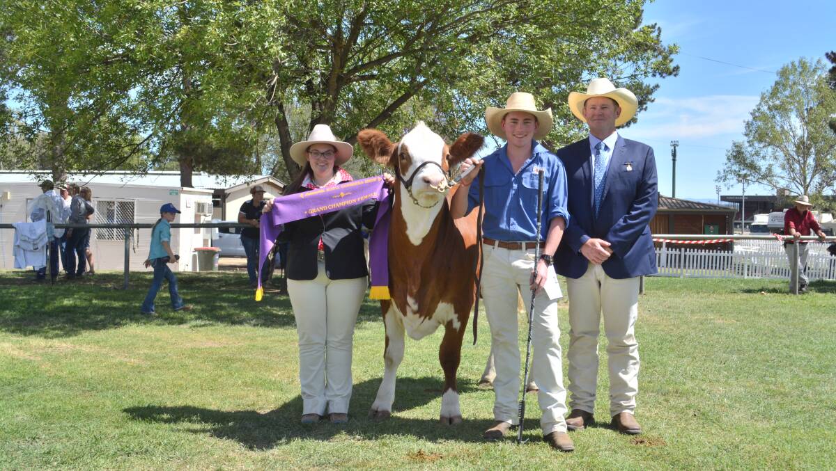 Grand champion Fleckvieh female was Daraabah Poser held by Lachlan McColl, Dubbo, and sashed by associate judge Michelle Fairall, Micanker Livestock, Harden, and judge Glenn Trout, Kenmere Charolais, Holbrook.