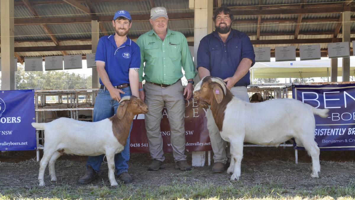 The $5500 top-priced doe with Tom Youlden of Valley Boers and Youlden Valley studs, Cargo and Tomingley, Nutrien stud stock auctioneer John Settree, Dubbo, and vendor Ben Stanford of Bengara and Best Reds studs, Peak Hill and a buck which made $2500. 