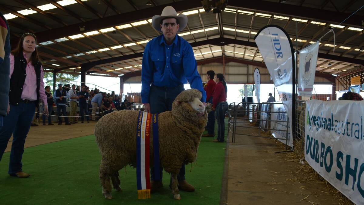 Michael Evans with the champion superfine wool ewe, Tambua 141, from the Tambua Poll Merino stud, Cobar. 