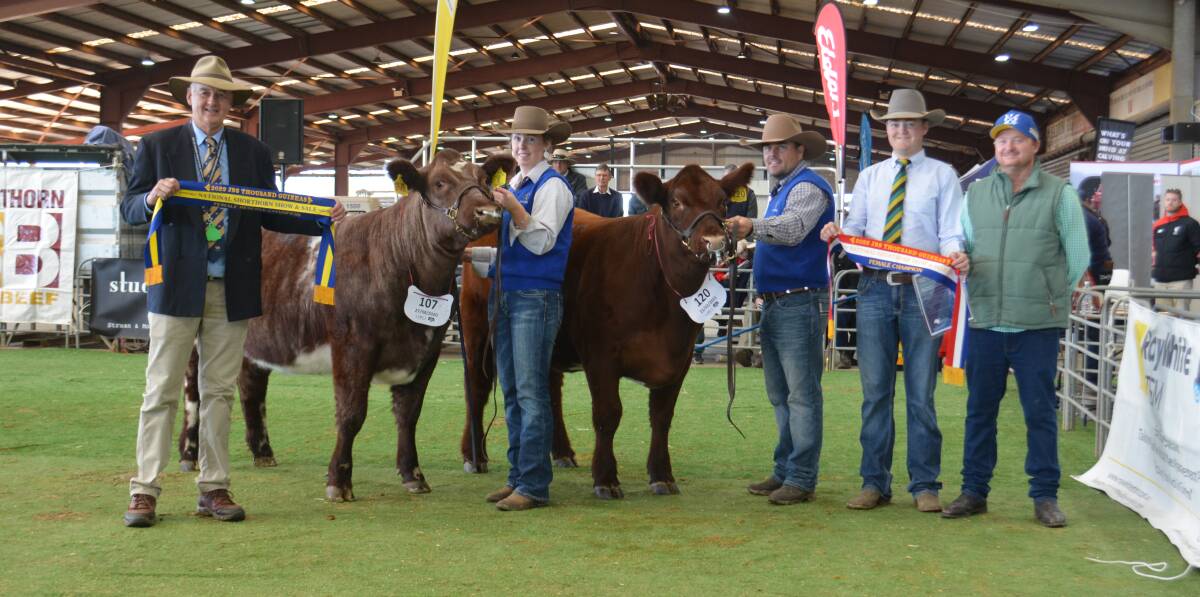 Judge Peter Collins, Merridale Angus, Tennysonvale, Vic, with the reserve champion and champion heifers led by Sarah Rayner, Tamworth, and Ashley Morris, AJM Shorthorns, Young, and sponsors Lane Evans, Holbrook Breeders, and Lachie Falls, Falls Livestock Transport, Finley. 