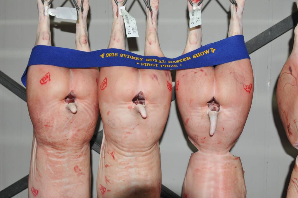 Brisbane Waters Secondary College's winning pen of three pig carcases in the hook section of the competition. 