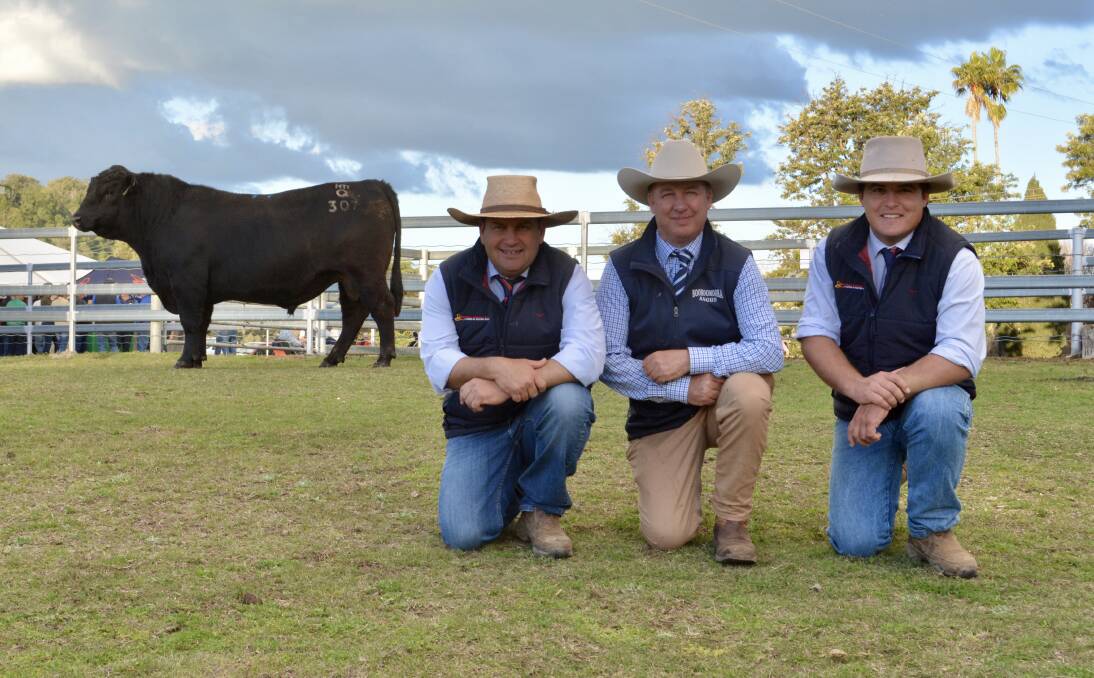 Auctioneers Luke Scicluna and Tom Tanner (right) of selling agents Davidson Cameron and Co with Sinclair Munro of Booroomooka Angus, Bingara and the $48,000 top-priced bull. 