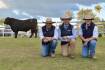 Stunning $17,262 average across 232 bulls at Booroomooka Angus