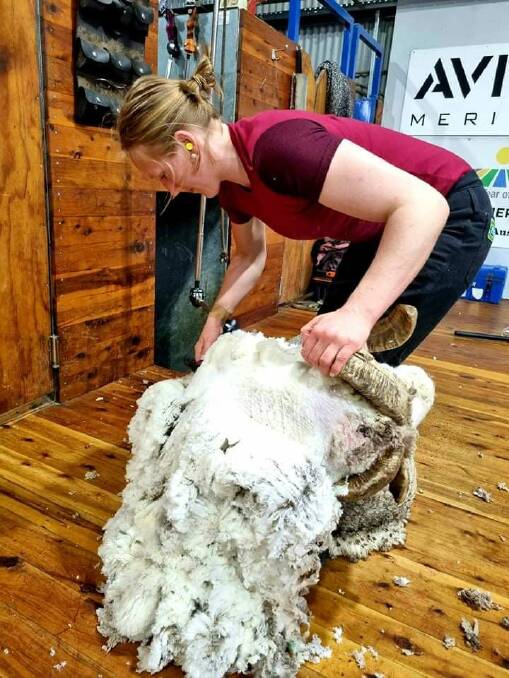 Victorian shearer Claudia Raleigh has the next goal to shear 300 lambs or 200 in Merino ewes.