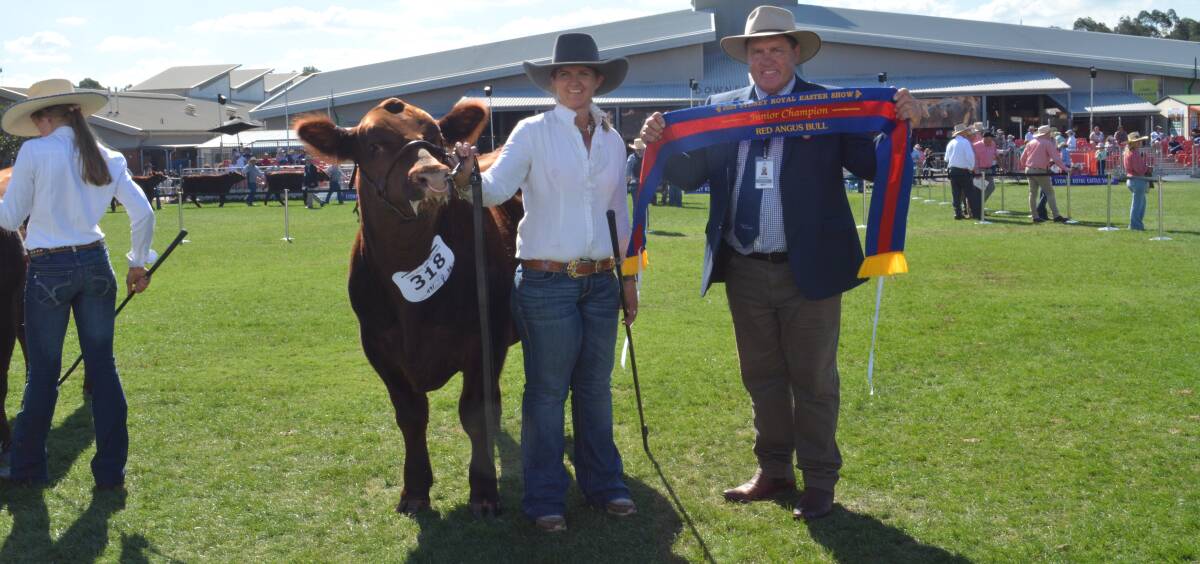 Christie Fuller, Diamond Red Angus, Cowra, holds the junior champion Red Angus bull sashed by RAS councillor Brian Wilson. 