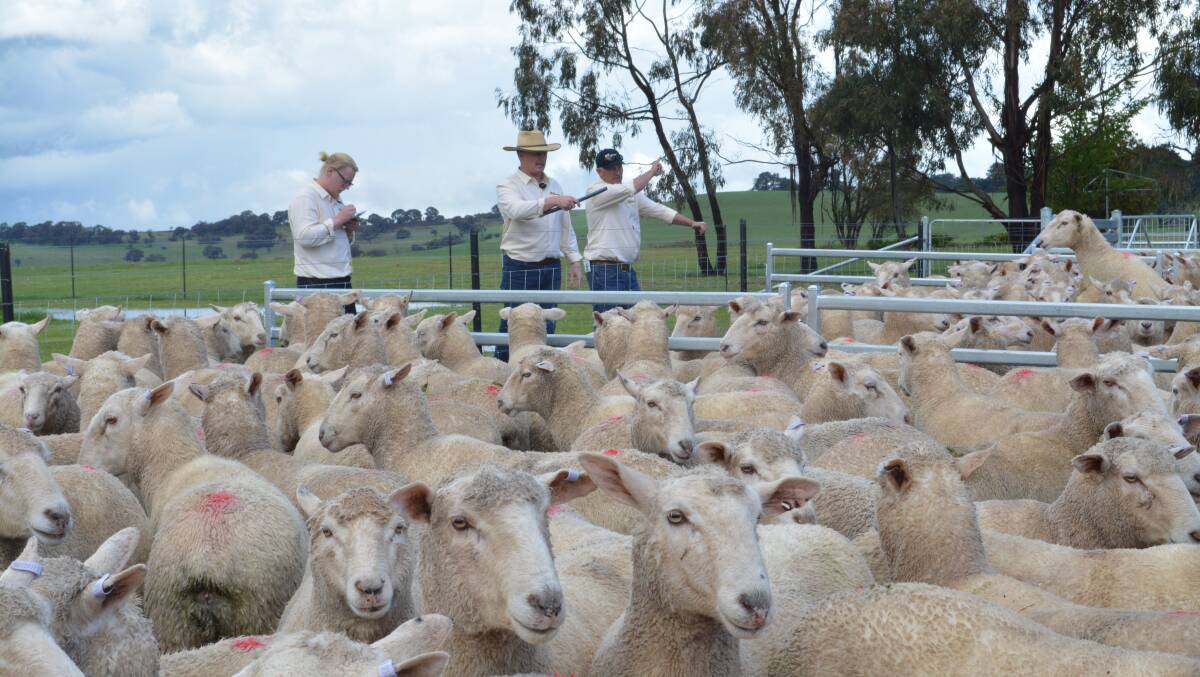 The sale was conducted by MD and JJ Anderson Pty Ltd, Crookwell, with Greg Anderson as the auctioneer.