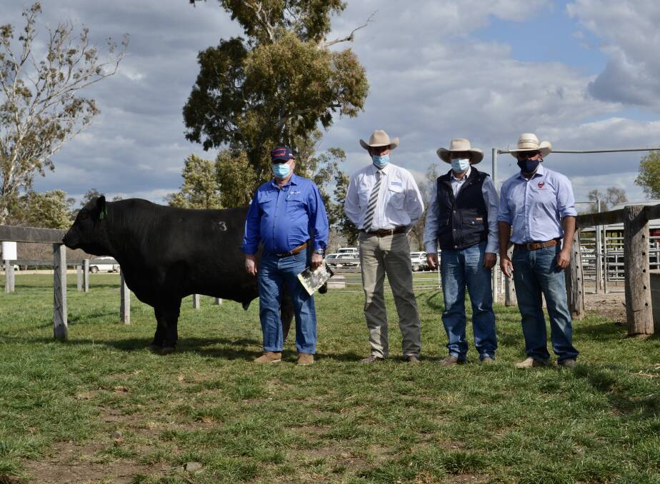 The $27,000 high-seller with buyer Bill McDonald, Blackjack Pastoral Company, Lostock, auctioneer Paul Dooley, Tamworth, agent Grant Whatham of Thomas Livestock, Branxton and Coolie Angus manager Jamie Edmonds, Merriwa. 