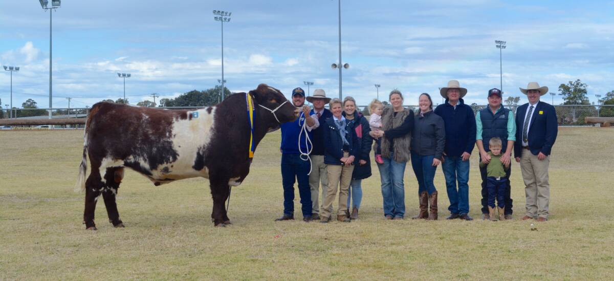 The $40,000 sale-topper Polldale Quantum Q17 with vendors the Williams family of Polldale Shorthorns, Dubbo and buyers the Falls family of Malton Shorthorns, Finley. 