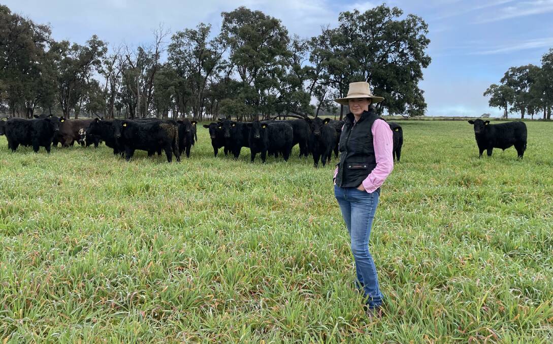 All in the family: GenAngus Future Leaders Program participant Emily Read, Coonabarabran, with Angus steers sired by her family's Isla Angus bulls. Photo: Supplied 