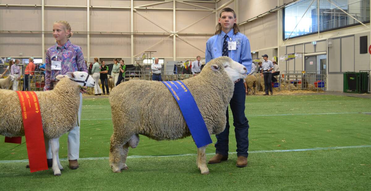 Year 8 Lithgow High School student Dylan Grant led a Corriedale ram to the top spot in the handler 10 years and under 14 years class.