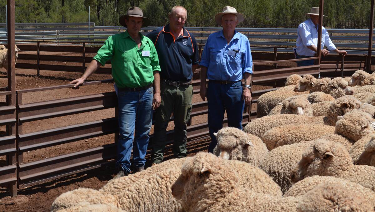 Classer Tom Kirk with Peter and Allen Stuckey from Murtonga Pastoral, Murtonga, and their Bundemar blood flock that received runner-up. 